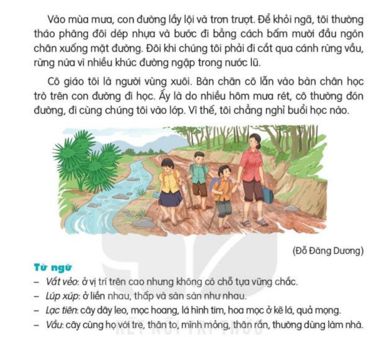 Đọc Con đường đến trường trang 46, 47 Tiếng Việt lớp 3 Kết nối tri thức