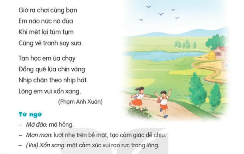 Đọc Đi học vui sao trang 43, 44 Tiếng Việt lớp 3 Kết nối tri thức
