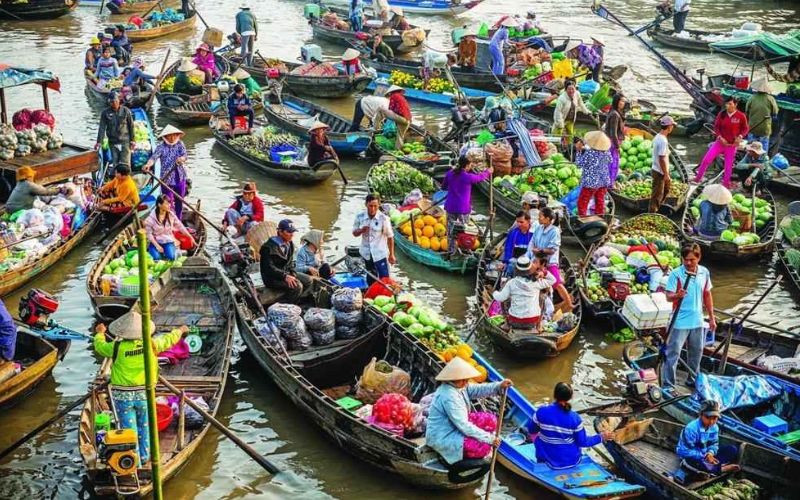 Đọc hiểu chợ nổi Đồng bằng sông Cửu Long
