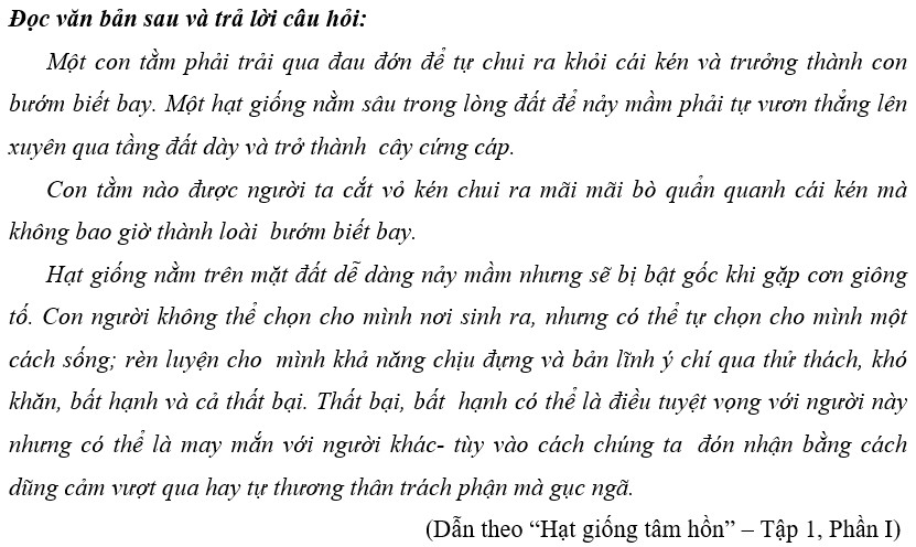 Đọc hiểu Một con tằm phải trải qua đau đớn để tự chui ra khỏi cái kén