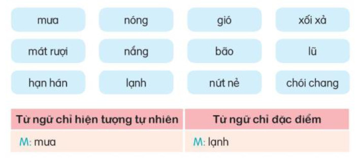 Luyện tập trang 12, 13, 14 Tiếng Việt lớp 3 Kết nối tri thức