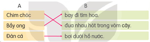 Luyện tập trang 14, 15,16 Tiếng Việt lớp 3 Kết nối tri thức