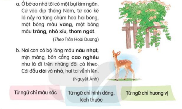 Luyện tập trang 24, 25 Tiếng Việt lớp 3 Kết nối tri thức