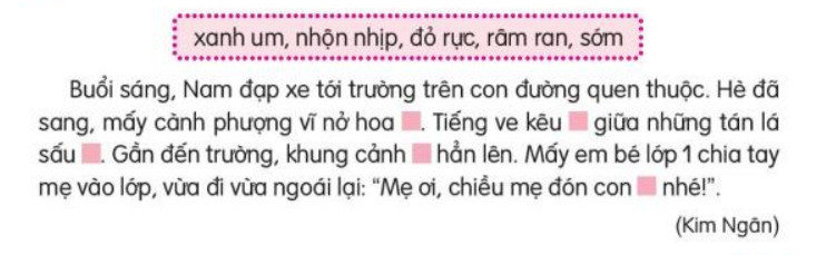 Luyện tập trang 48, 49 Tiếng Việt lớp 3 Kết nối tri thức