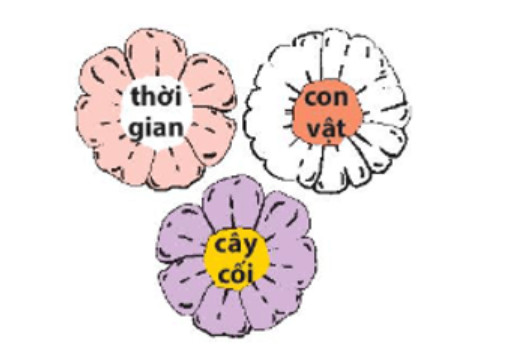 Luyện từ và câu Luyện tập về danh từ trang 24, 25 Tiếng Việt lớp 4 Kết nối tri thức