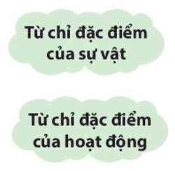 Luyện từ và câu Tính từ trang 94, 95 Tiếng Việt lớp 4 Kết nối tri thức