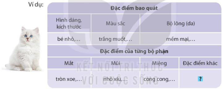 Viết Quan sát con vật trang 116, 117 Tiếng Việt lớp 4 Kết nối tri thức